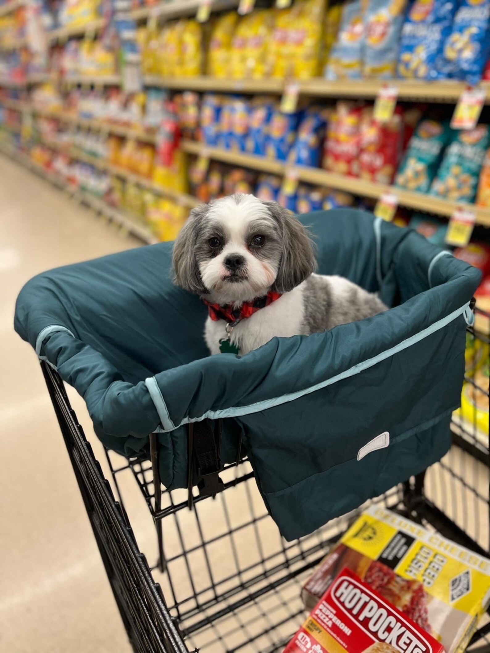 Pet/dog Shopping Cart Cover Etsy