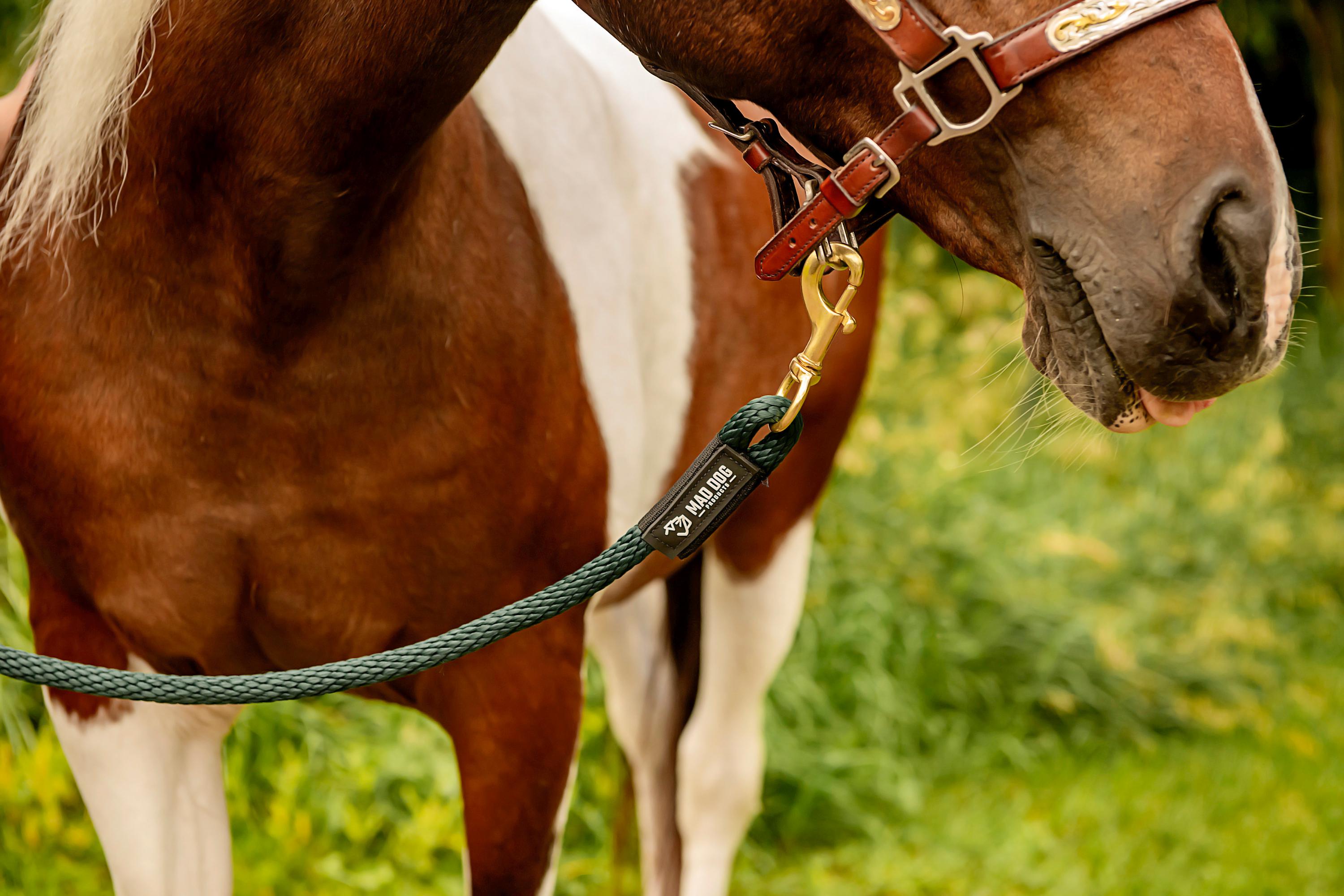 Rodeo Lead Personalized Horse Lead With Heavy-duty Brass Snap Solid Braid Rope ...