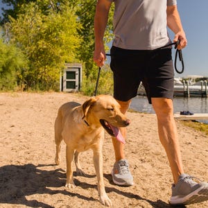 May include: A person walks a light brown dog on a lead along a sandy beach. The dog is looking at the camera with its tongue out. The person is wearing a grey t-shirt, black shorts, and grey trainers.