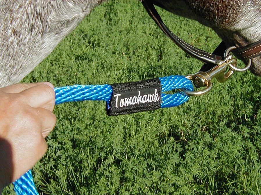 Horse Lead Snap 