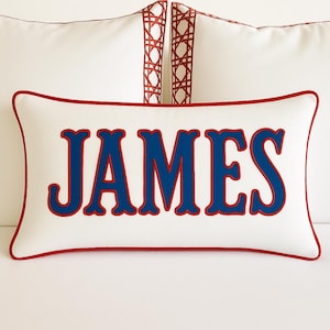 Monogram Applique Pillow PALISADES Beautiful Applique (Choose from Multiple Sizes)