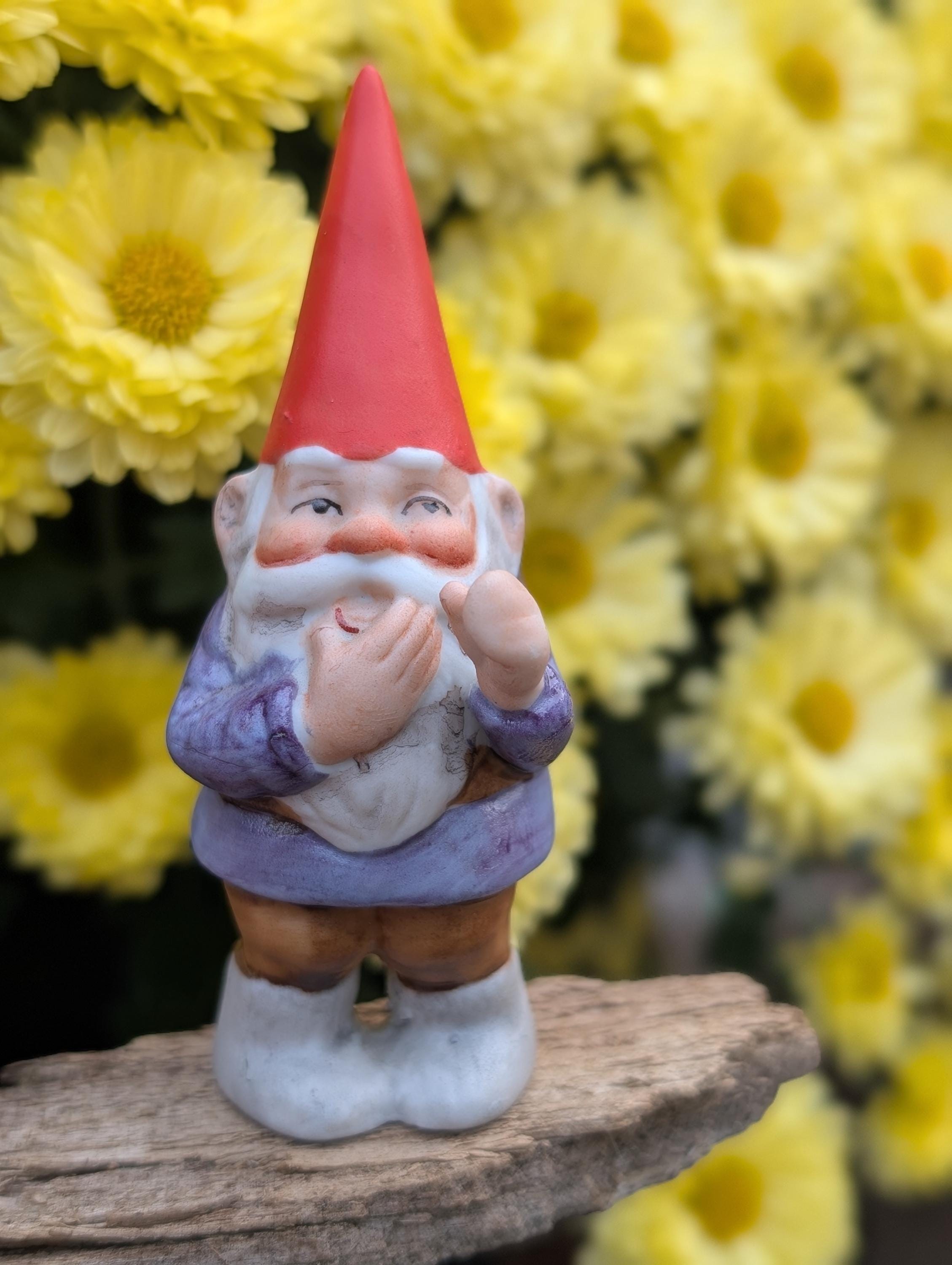 Unieboek Gnome - Etsy