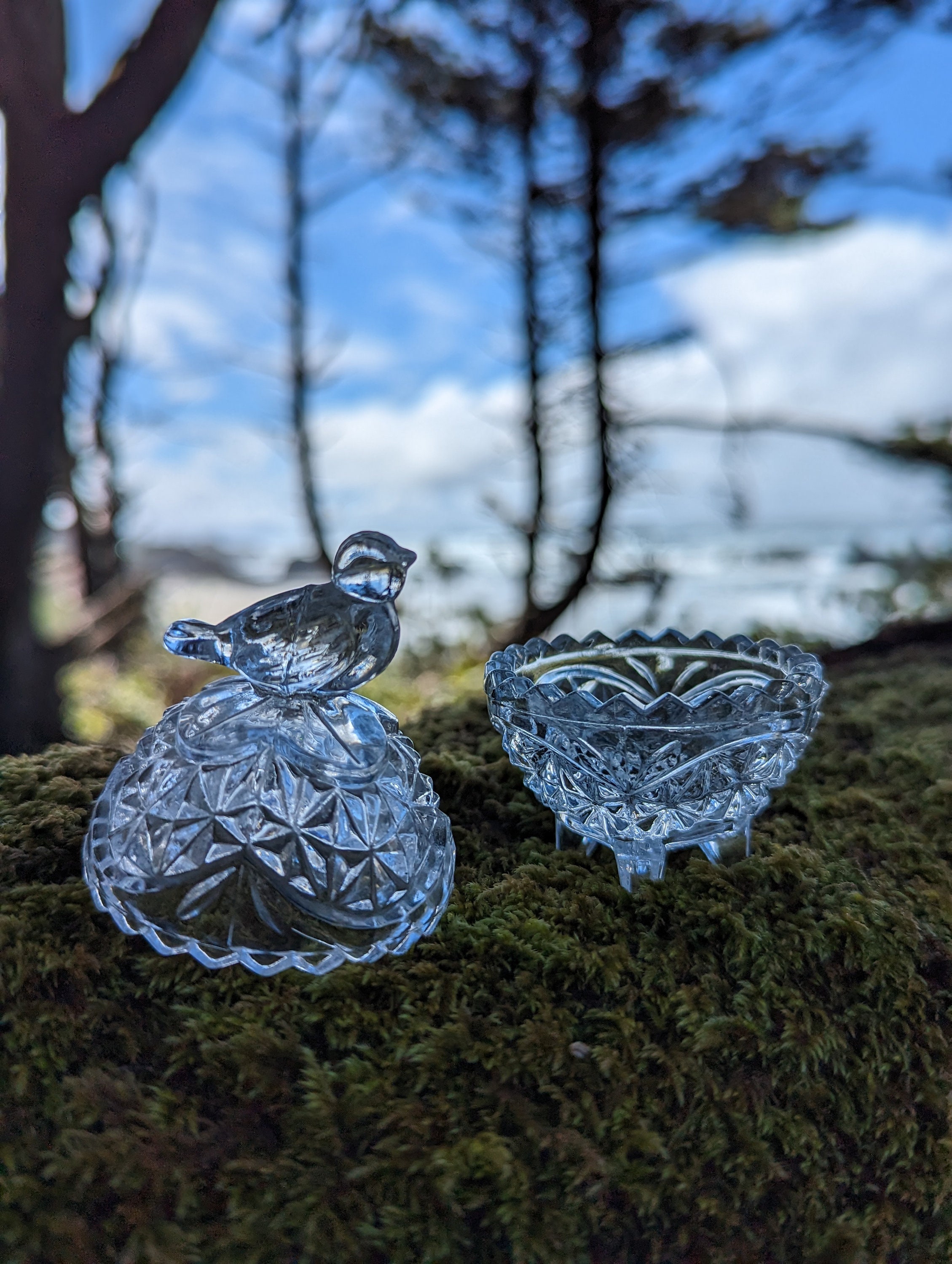 Gallery image with a fresh perspective