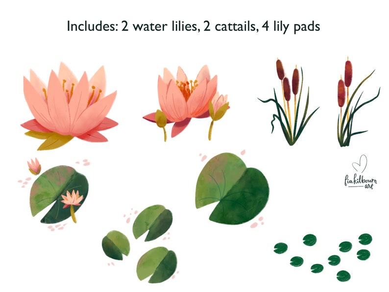 Swan, Baby, and Pond Life Hand Drawn Illustrations Clipart Bundle-Instant Download PNG Graphics-Spring Art Collection image 4