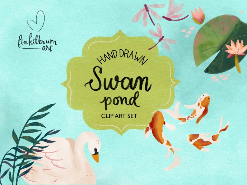 Swan, Baby, and Pond Life Hand Drawn Illustrations Clipart Bundle-Instant Download PNG Graphics-Spring Art Collection image 1