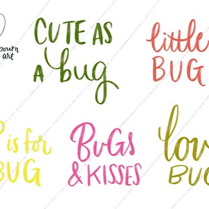 Beetle Clipart Set-Cute Whimsical Bug Phrases-Hand Drawn Illustrations Bundle-Instant Download PNG Graphics-Insect Collection image 3