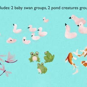 Swan, Baby, and Pond Life Hand Drawn Illustrations Clipart Bundle-Instant Download PNG Graphics-Spring Art Collection image 3