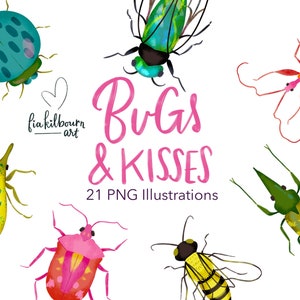 Beetle Clipart Set-Cute Whimsical Bug Phrases-Hand Drawn Illustrations Bundle-Instant Download PNG Graphics-Insect Collection image 1