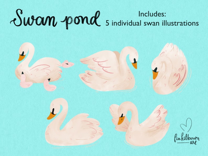 Swan, Baby, and Pond Life Hand Drawn Illustrations Clipart Bundle-Instant Download PNG Graphics-Spring Art Collection image 2