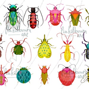 Beetle Clipart Set-Cute Whimsical Bug Phrases-Hand Drawn Illustrations Bundle-Instant Download PNG Graphics-Insect Collection image 2