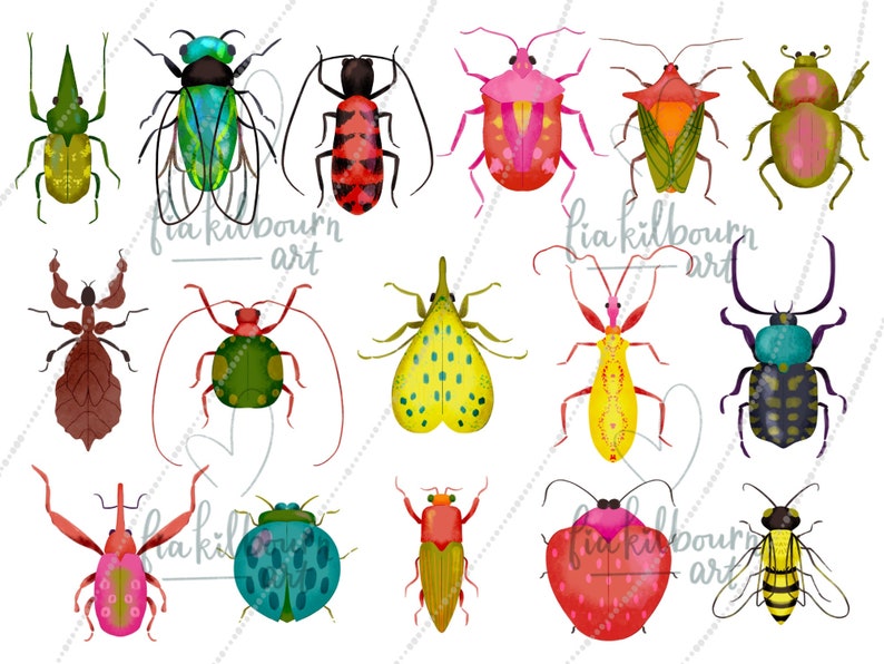 Beetle Clipart Set-Cute Whimsical Bug Phrases-Hand Drawn Illustrations Bundle-Instant Download PNG Graphics-Insect Collection image 2