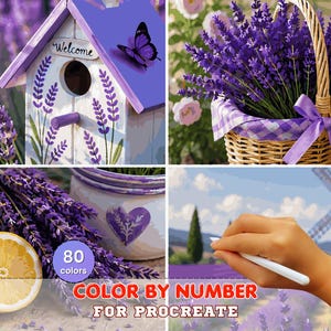 Pode incluir: Um kit digital de colorir por números para Procreate com quatro cenas: uma casa de pássaros roxa com uma borboleta, uma cesta de vime cheia de lavanda, um pote de cerâmica com um coração ao lado de limões e um moinho num campo de lavanda.