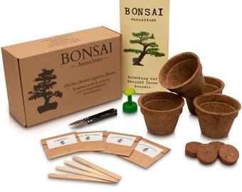 Bonsai Anzuchtset - Züchte Deine eigenen Bonsaibäume. 4 Sorten Bonsai Samen in unserem Pflanzset. Schöne Geschenkidee zu Allen Anlässen.