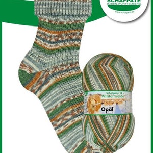 Opal Schafpate 11193 - Opal 4 ply sock yarn - fingering weight