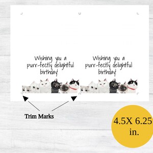 Carte d'anniversaire imprimable Carte d'anniversaire imprimable Cartes d'anniversaire numériques Cartes imprimables joyeux anniversaire pour amoureux des chats Carte d'anniversaire image 3