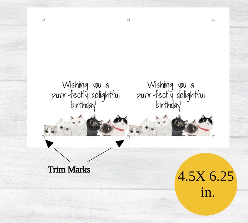 Tarjeta de cumpleaños imprimible / Tarjeta de cumpleaños imprimible / Tarjetas de cumpleaños digitales / Amantes de los gatos Tarjetas de feliz cumpleaños imprimibles / Tarjeta de cumpleaños imagen 3