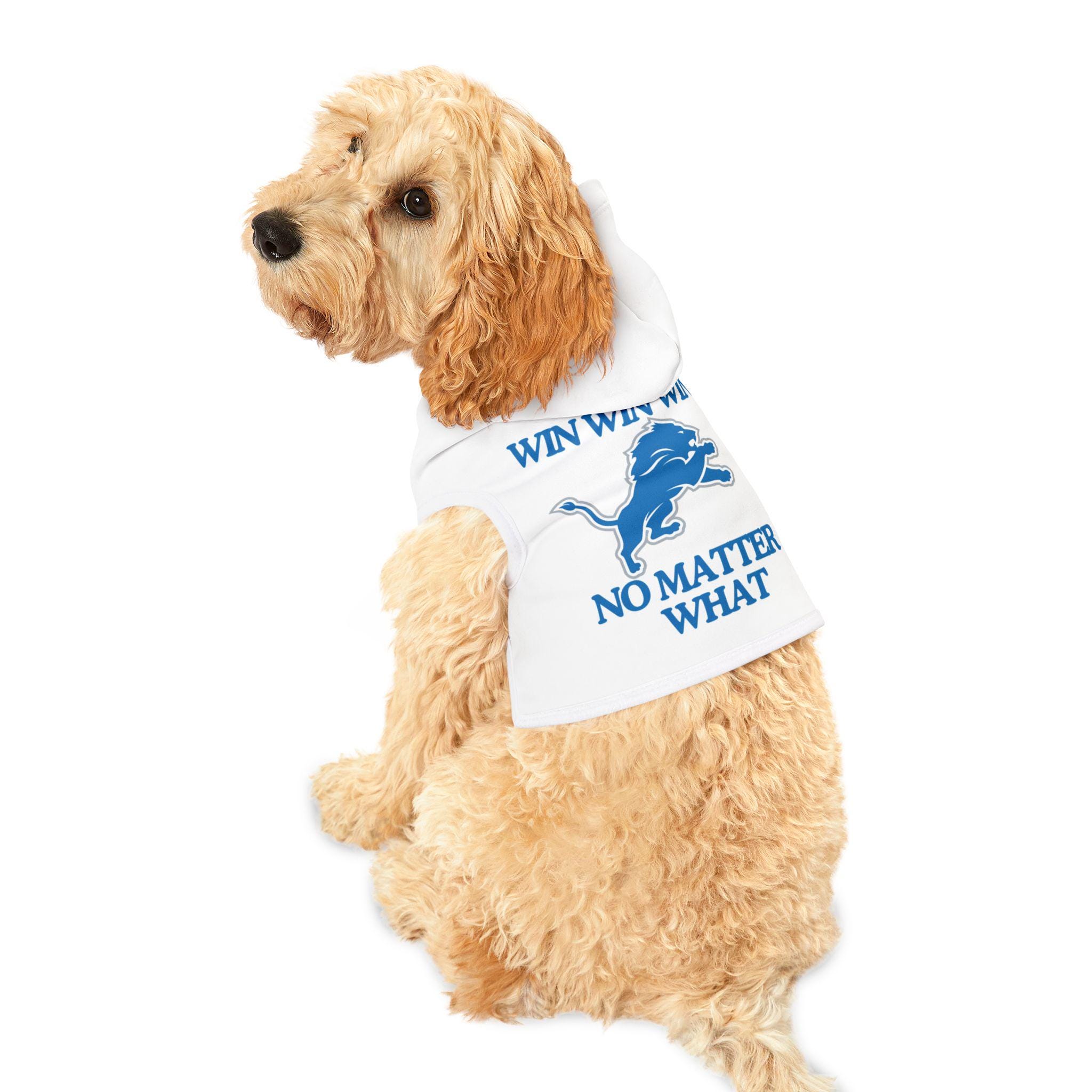 Dog sports gear hotsell