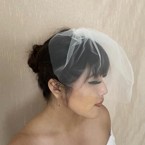 Birdcage Veil Tulle Wedding Bridal Ivory Off-White White Blush Cream Small Veil - Ships in 1-3 Business Days