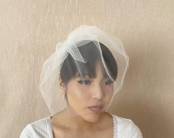Bridal Birdcage Wedding Veil Ivory Light Ivory Off-White White Blush Cream Silver Gold Rose Gold Comb Ships in 1-3 Business Days