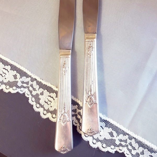 Vintage Wm Rogers & Son Stainless Knives, Set of 2, Gild Cadence Pattern