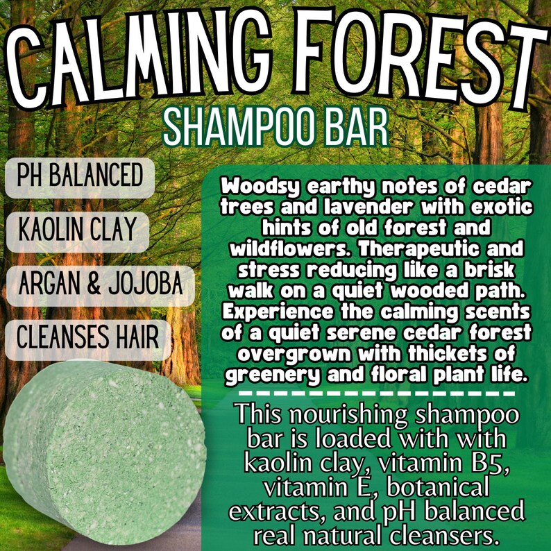Ph Balanced Allnatural Shampoo Bars Plasticfree and Environmentally