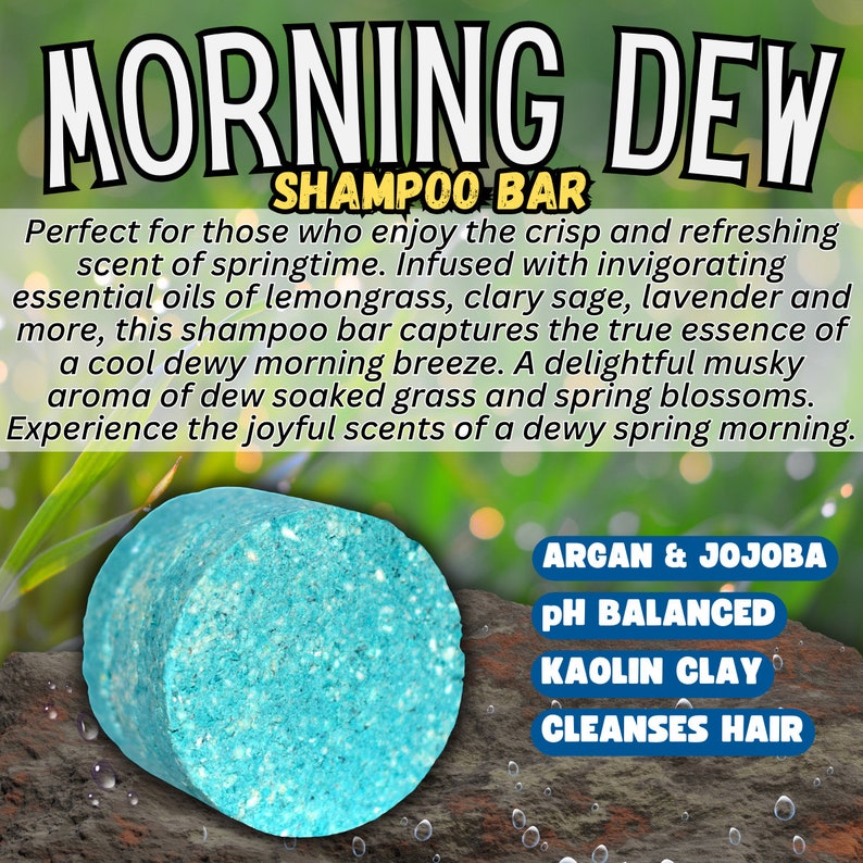 Ph Balanced Allnatural Shampoo Bars Plasticfree and Environmentally