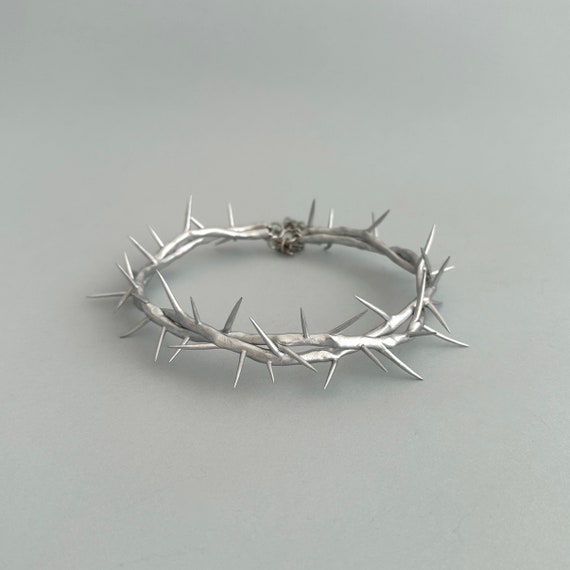 まっつDyckia Crown of Thorns SilverFox 士魂植栽様専用Dyckia SilverFox CrownofThorn - メルカリ