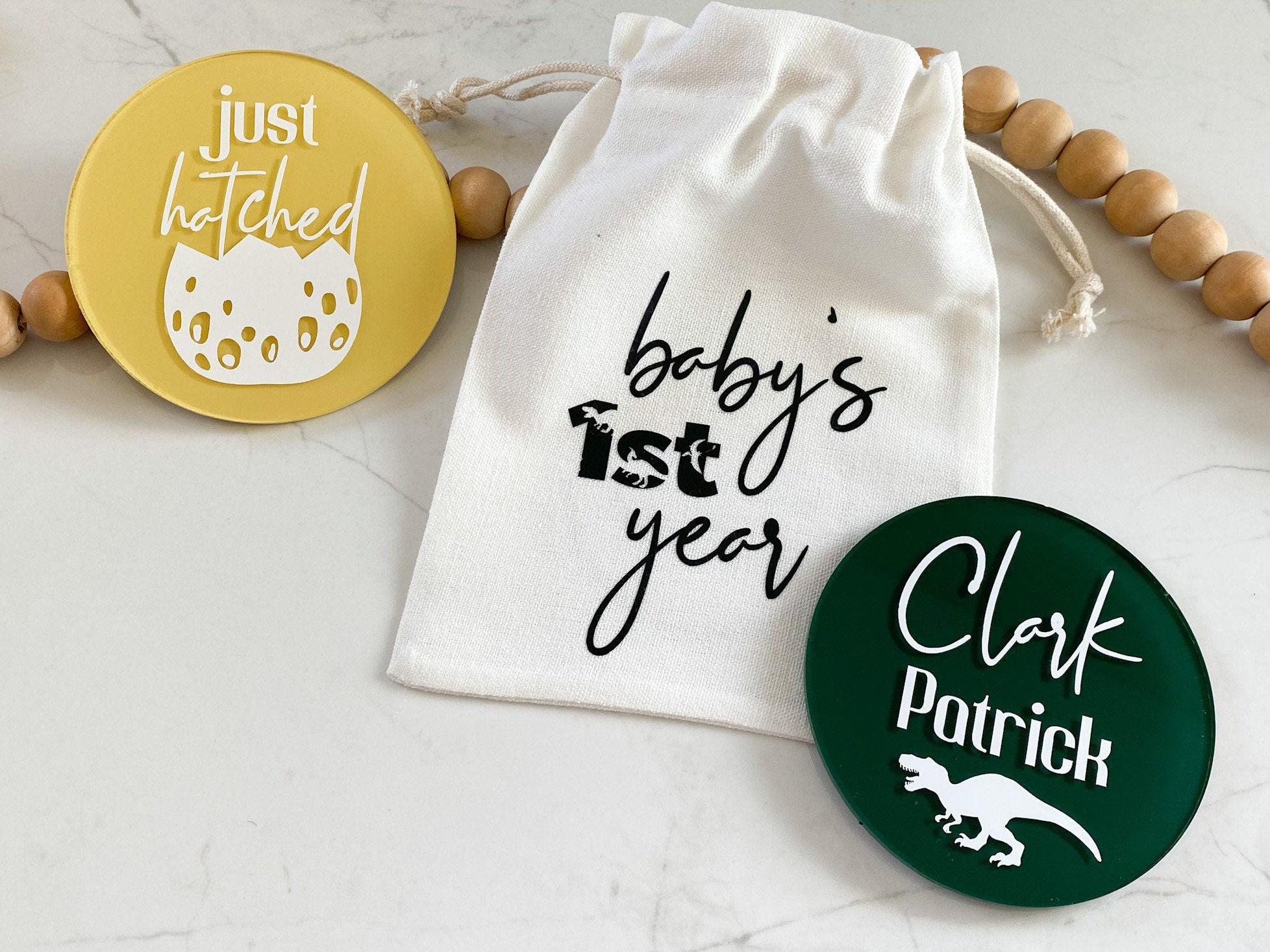 Dinosaur Acrylic Baby Milestone Discs, Monthly Photo Props for Baby's ...