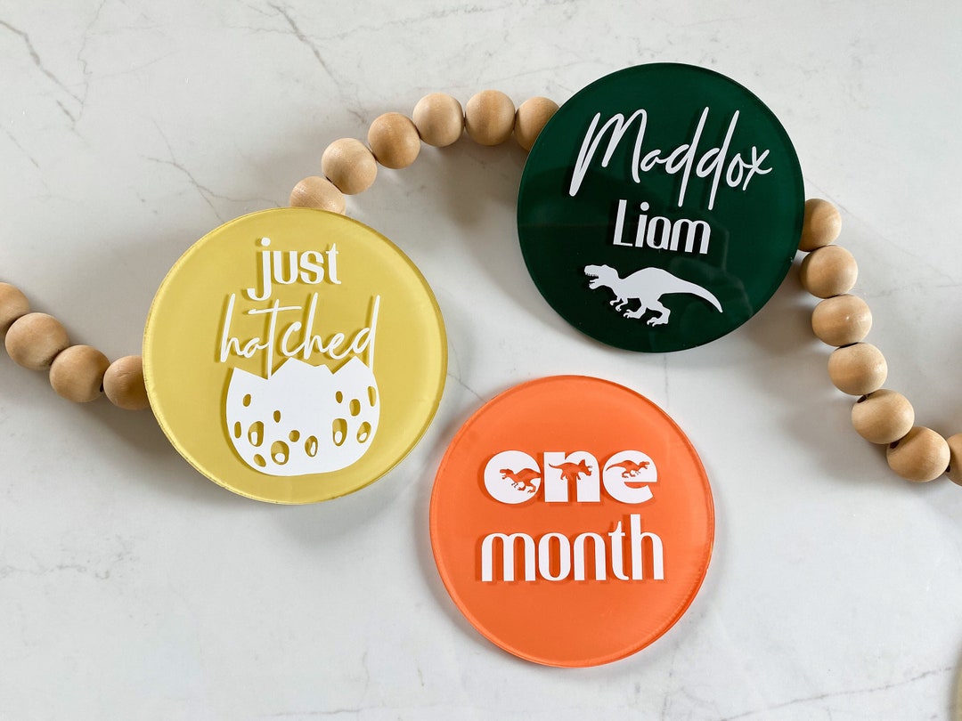 Dinosaur Acrylic Baby Milestone Discs, Monthly Photo Props for Baby's ...