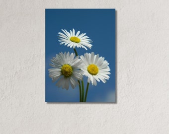 Daisy Painting Flower Art|Daisy Wildflower|Botanical Wall Decor|Botanical Wall Decor|White Flower Art|Daisy Poster|Ready To Hang or Poster