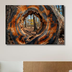 Tree Rings Canvas Wall Art|Tree Ring Wood Artworks|Abstract Colorful Tree Ring Wall Decor|Tree Ring Exhibition