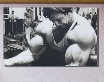 Gym Exercise Fitness Weight Lifting Body Builder Motivation Arnold Schwarzenegger|Schwarzenegger Canvas Wall Art Man Cave Decoration