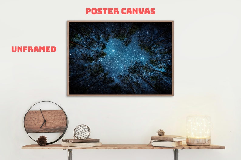 Starry Night Sky Photography Canvas Wall Art | Forest Photo Backdrop ...