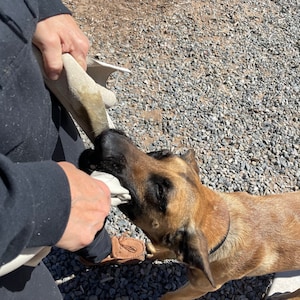 Leather Bite Rag for Dogs and Puppies - Colors Vary