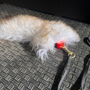 Isca de brinquedo para cachorro de pele de carneiro