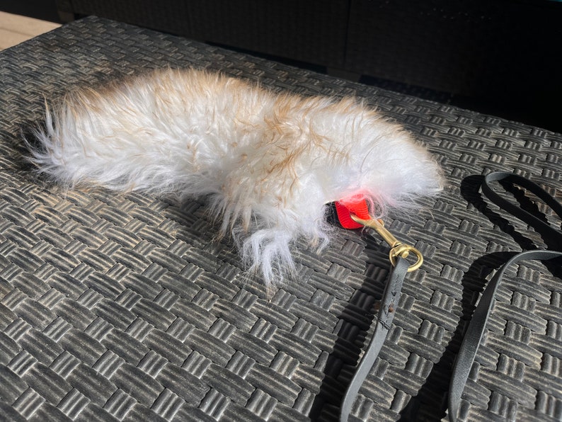 Pu&ograve; includere: Un giocattolo per cani bianco e marrone peloso con un guinzaglio rosso e nero.
