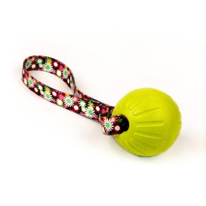 Virtually Indestructible Foam Fetch Dog Ball with Heavy-Duty Tug Handle - Large 13&quot;x3.5&quot; Neon Flowers