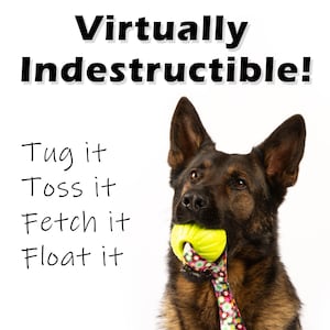 May include: A German Shepherd dog with brown fur is holding a yellow and green rubber dog toy in its mouth. The dog is looking up and the text "Virtually Indestructible!" is above the dog. The text "Tug it Toss it Fetch it Float it" is below the dog.