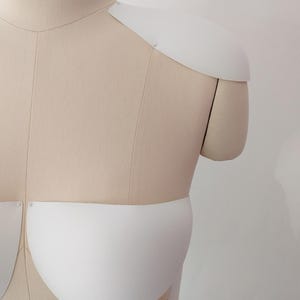 May include: A beige dress form with white foam shoulder and bust pieces attached. The dress form has the number 88 printed in black on the neck. The white foam pieces are curved and shaped to represent the form of a garment.