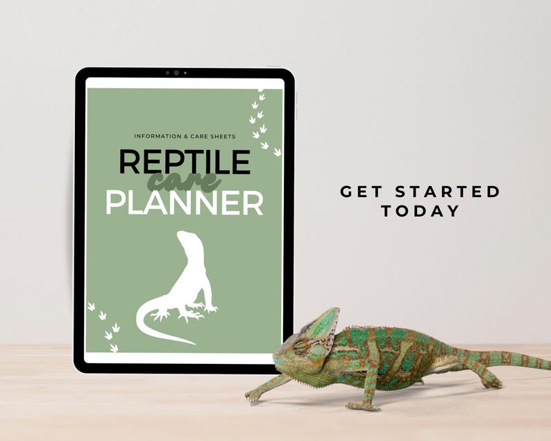 May include: A digital tablet displays a Reptile Care Planner with information and care sheets. The planner features a lizard silhouette and footprint graphics on a sage green background. A green and brown chameleon is in the foreground. Text reads: GET STARTED TODAY.