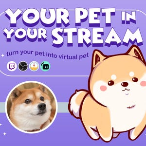 以下が含まれることがあります： 「YOUR PET IN YOUR STREAM」と「turn your pet into virtual pet」の文字が入った紫色のグラフィック。 漫画の柴犬と、円の中の柴犬の写真が特徴です。
