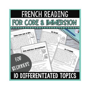 French Reading Comprehension Worksheets: Beginner Texts (PDF Download)