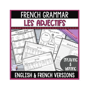 French Adjectives Worksheets: Vocabulary & Grammar (Digital Resource)