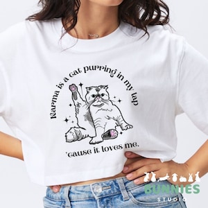 ts karma is a cat version 2 svg, png cricut, sublimation totebag shirt mug 1989 taylor midnights
