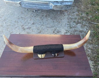 Vintage Mounted Steer Horns/Hoofs  33 in Wide Display