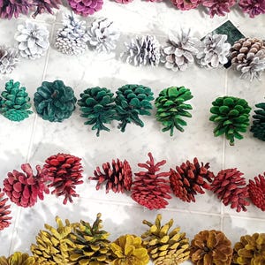 Puede incluir: Una colección de piñas dispuestas en filas por color, con tonos de azul, morado, rosa, blanco, verde, rojo, amarillo y naranja. Cada piña está pintada en un tono sólido, mostrando texturas y escamas naturales en una disposición de cuadrícula.