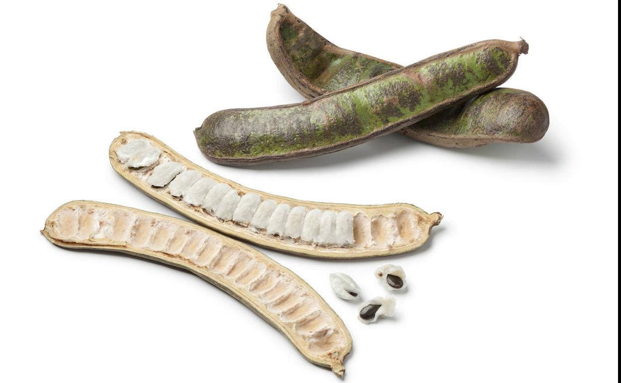 Guama Ice Cream Bean (Inga laurina)