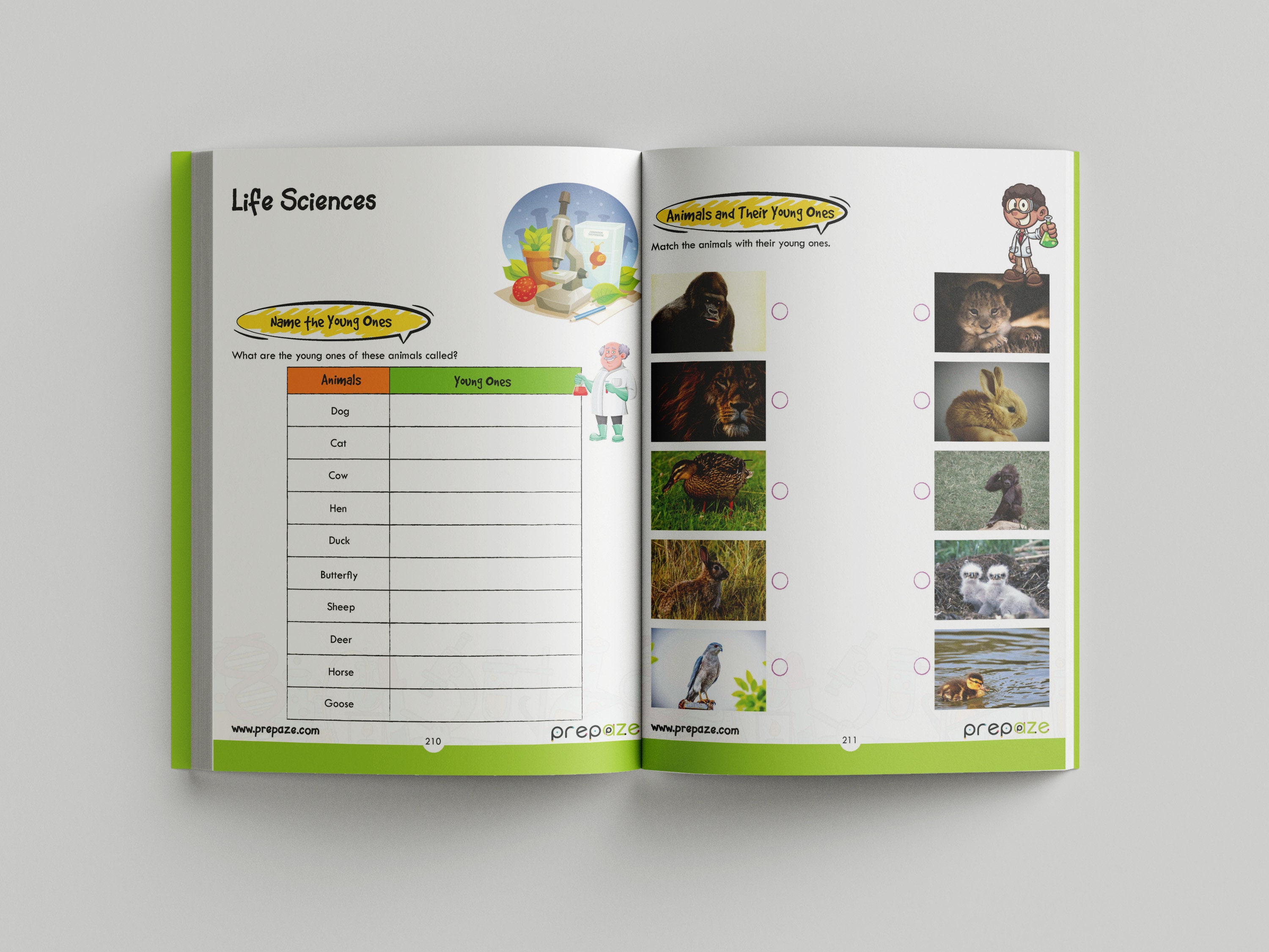 The One Big Book Grade 2: for English, Math and Science - Etsy