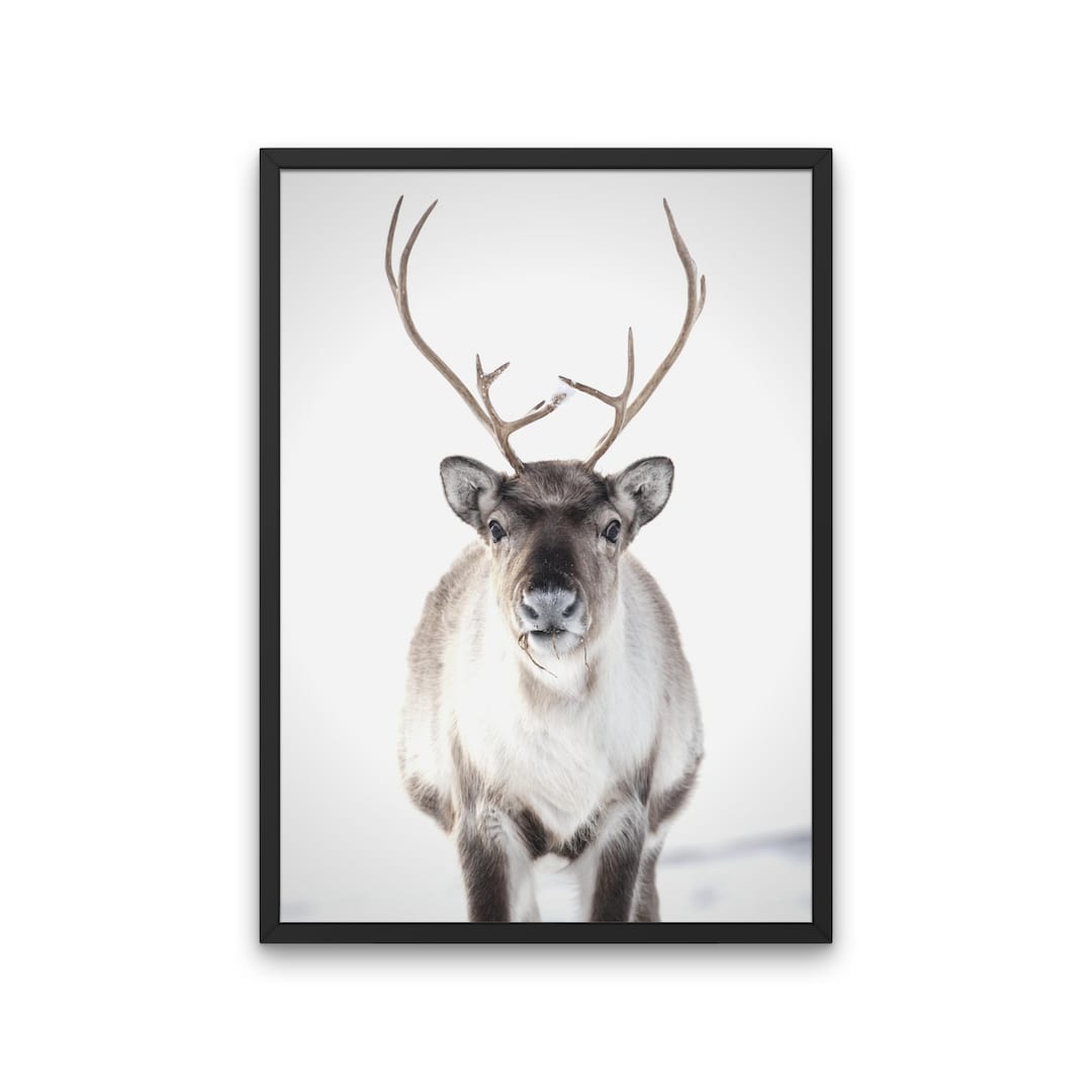 Winter Reindeer Instant Download Print, Snowy Reindeer Christmas Wall