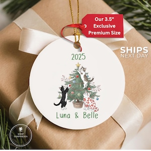 Personalized Cat Christmas Ornament 2025 | Custom Pet Ornament | Funny Cat Tree Ornament | Gift for Cat Lover or Friend | Pet Keepsake